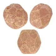 Facettes 3 mm Pacifica Macadamia x50