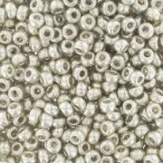 Rocaille Miyuki Duracoat 11/0 4201 - Galvanized Silver paquet de 100g