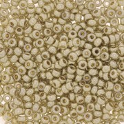 Rocaille Miyuki Duracoat 11/0 4201 - Galvanized Silver x100g