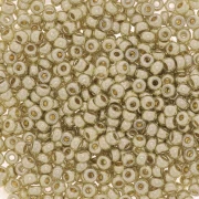 Rocaille Miyuki Duracoat 11/0 4201 - Galvanized Silver x100g