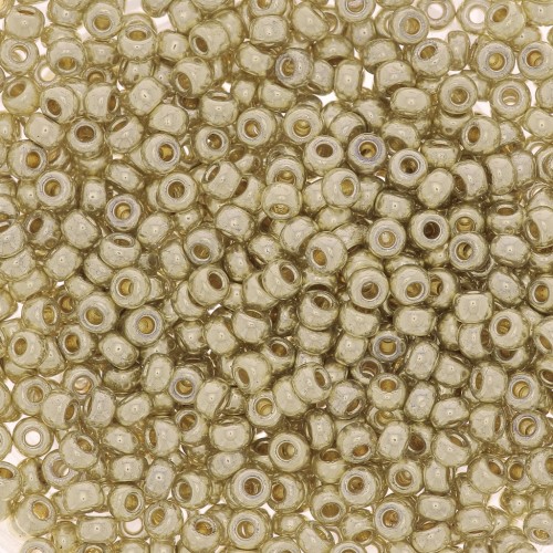 Rocaille Miyuki Duracoat 11/0 4201 - Galvanized Silver x100g