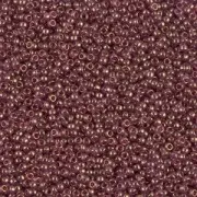 Rocaille Miyuki 15/0 2441 - Cinnamon Gold Luster x8g