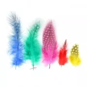 Assortiment de plumes de pintade 4-6 cm cm Multicolore x 1g