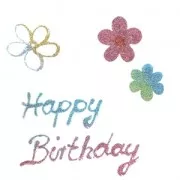 Colle pour poudre de paillettes ultrafine x25g