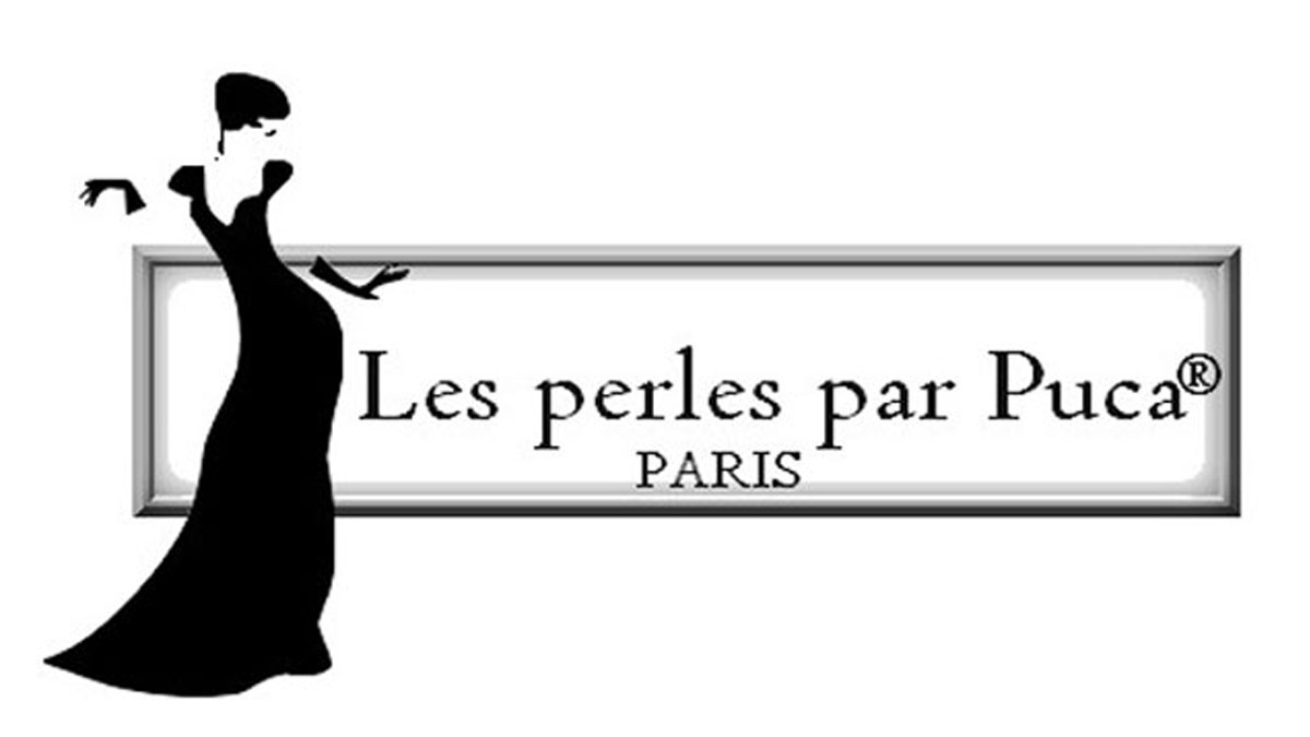 Schéma Interview créatif avec Puca Schéma Interview créatif avec Puca