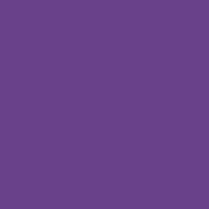 couleur tendance automne hiver 2023 2024 violet