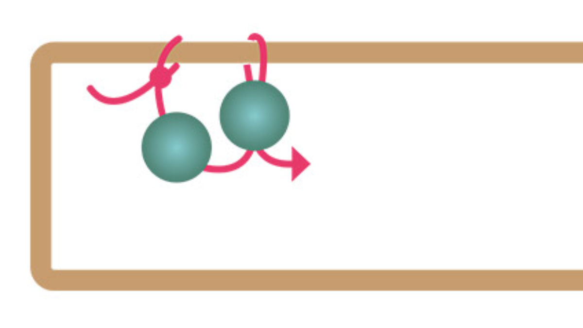 Boucles d'oreilles rectangle allongé et perles turquoise africaine : Etape 1