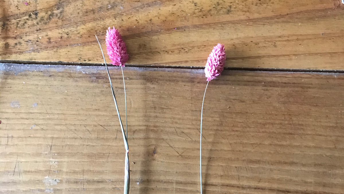 DIY Décoration bohème - Couronne de fleurs séchées : Etape 3