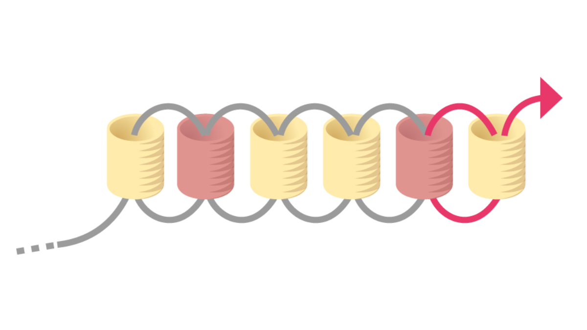 Grille de tissage Boucles d'oreilles Miyuki pastel en Brick Stitch : Etape 5 Grille de tissage Boucles d'oreilles Miyuki pastel en Brick Stitch : Etape 5
