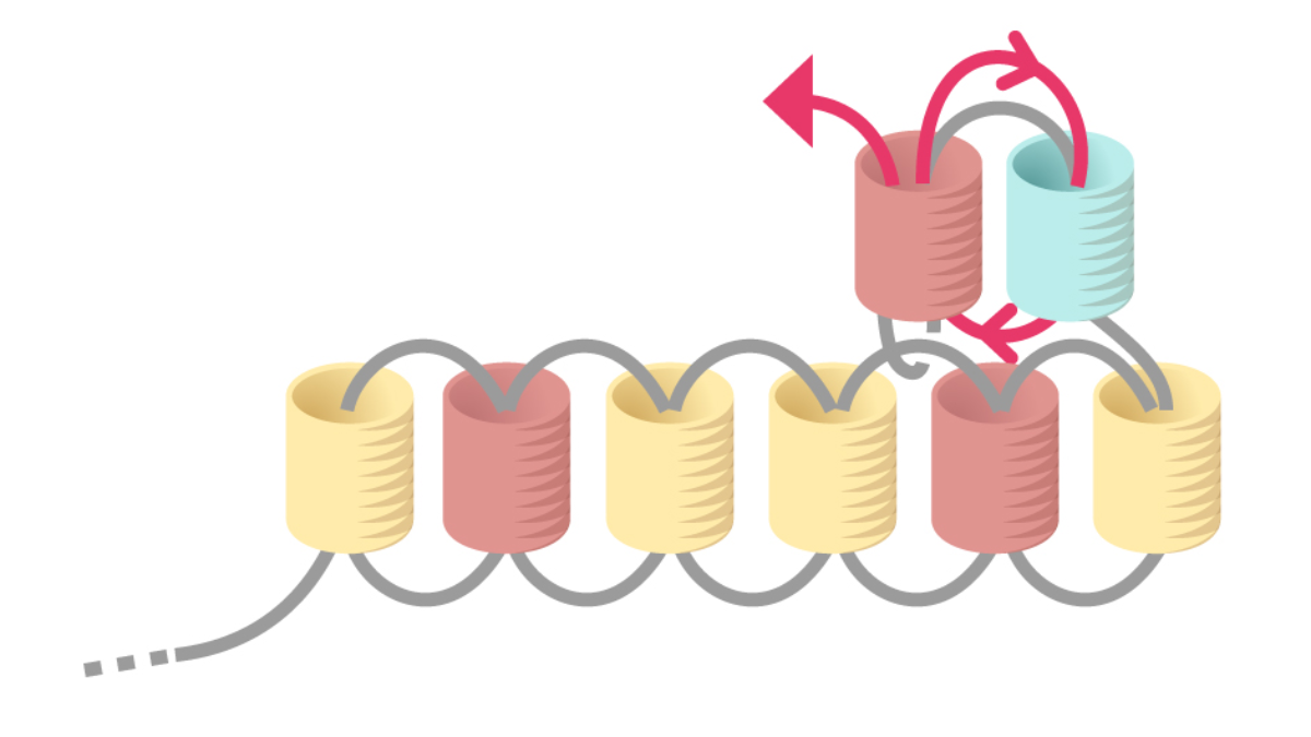 Grille de tissage Boucles d'oreilles Miyuki pastel en Brick Stitch : Etape 7 Grille de tissage Boucles d'oreilles Miyuki pastel en Brick Stitch : Etape 7