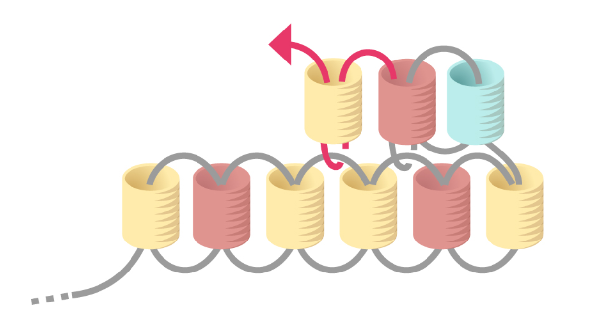 Grille de tissage Boucles d'oreilles Miyuki pastel en Brick Stitch : Etape 8 Grille de tissage Boucles d'oreilles Miyuki pastel en Brick Stitch : Etape 8