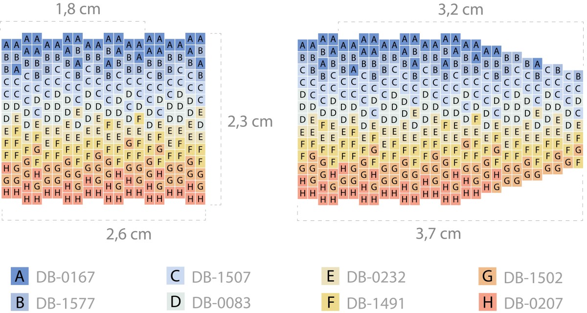 Schéma Bracelet Perles Miyuki tissage Peyote Double dégradé lever de soleil