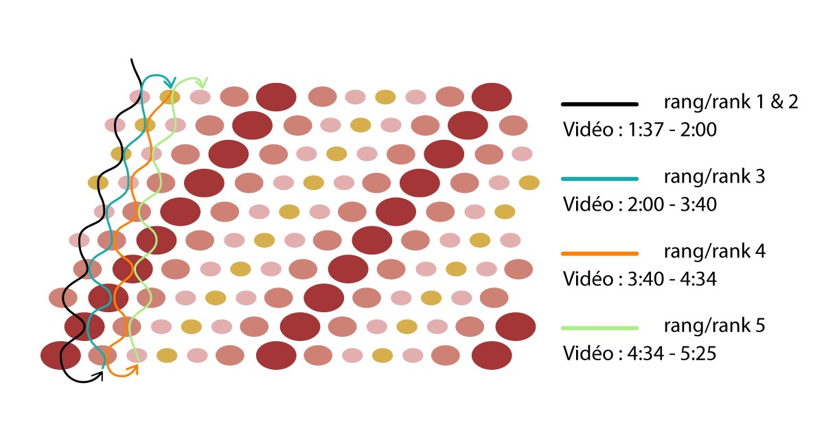 Schéma Tuto Bracelet Cellini plat Corail Schéma Tuto Bracelet Cellini plat Corail