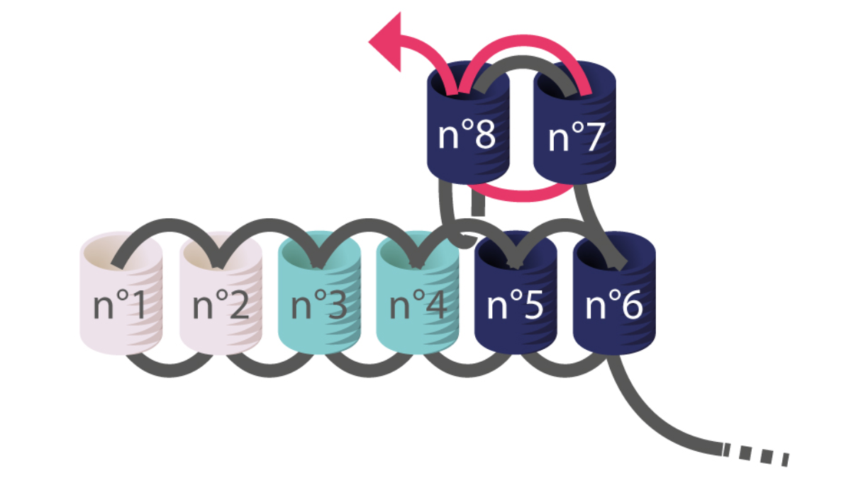 Tuto Boucles d'oreilles chevrons Miyuki en Brick Stitch : Etape 4