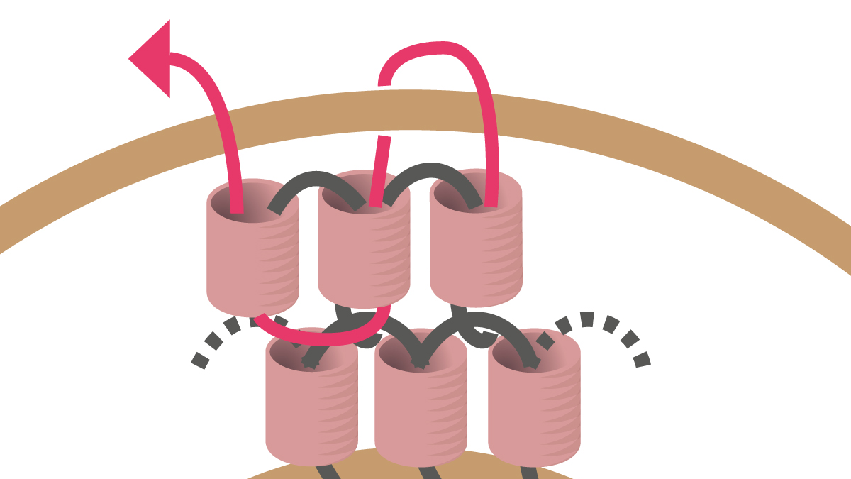 Collier Miyuki avec pendentif rond en Brick Stitch : Etape 9 Collier Miyuki avec pendentif rond en Brick Stitch : Etape 9