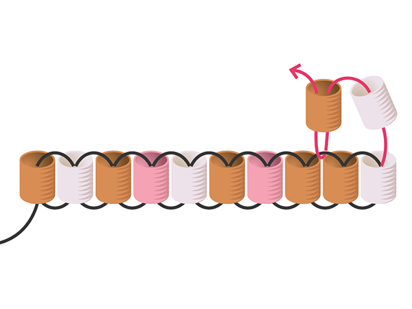 Boucles d'oreilles en double brick stitch avec perles de rocailles : Etape 4 Boucles d'oreilles en double brick stitch avec perles de rocailles : Etape 4