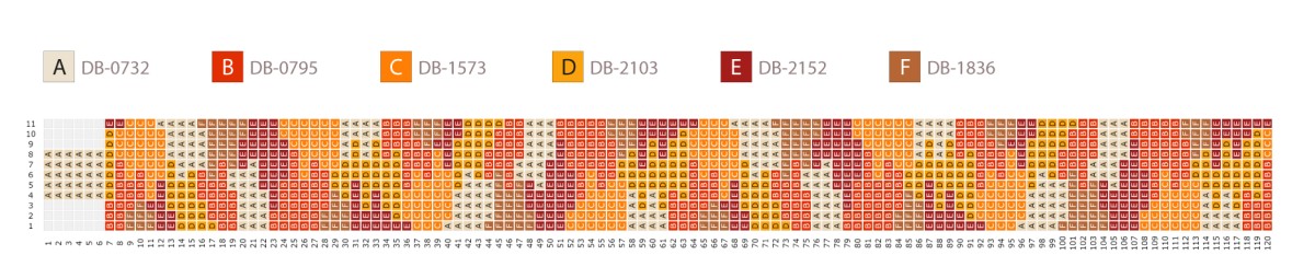 Schéma Bracelet Miyuki sur métier à tisser avec languettes en perles et fermoir coulissant