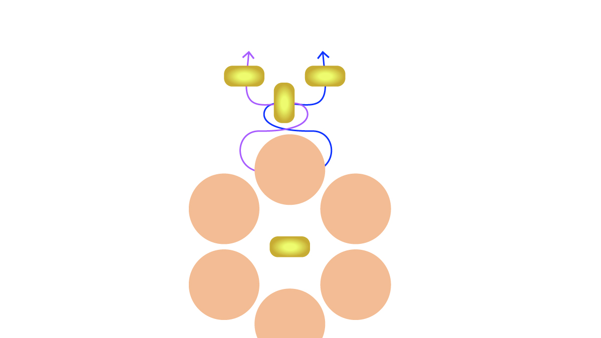 Bracelet fleur en pierre gemme et toupies Preciosa : Etape 6