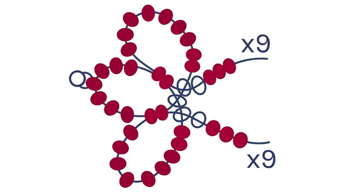 Collier tissage fleurs en perles rocailles Miyuki 6/0 : Etape 6