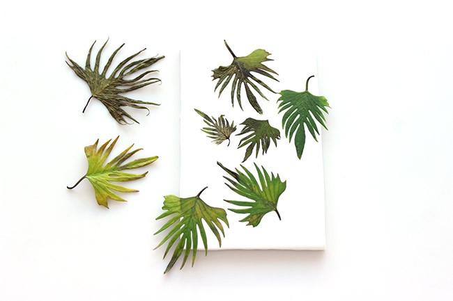 Marque-page en pâte Fimo et pigments Brusho : Etape 1