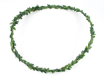 Couronne de Fleurs en Papier Crépon Buis Lierre : Etape 1 Couronne de Fleurs en Papier Crépon Buis Lierre : Etape 1