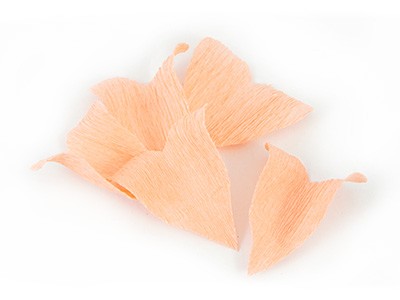 Couronne de Fleurs en Papier Crépon Buis Lierre : Etape 4 Couronne de Fleurs en Papier Crépon Buis Lierre : Etape 4