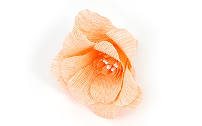 Couronne de Fleurs en Papier Crépon Buis Lierre : Etape 7 Couronne de Fleurs en Papier Crépon Buis Lierre : Etape 7